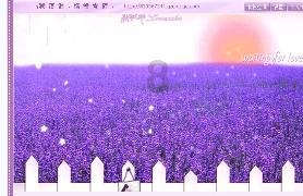 成都蓉城只有一名国脚,还是个第四门将,这却未必是件坏事!