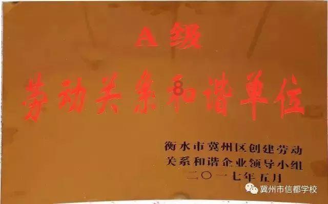 可爱的小考拉