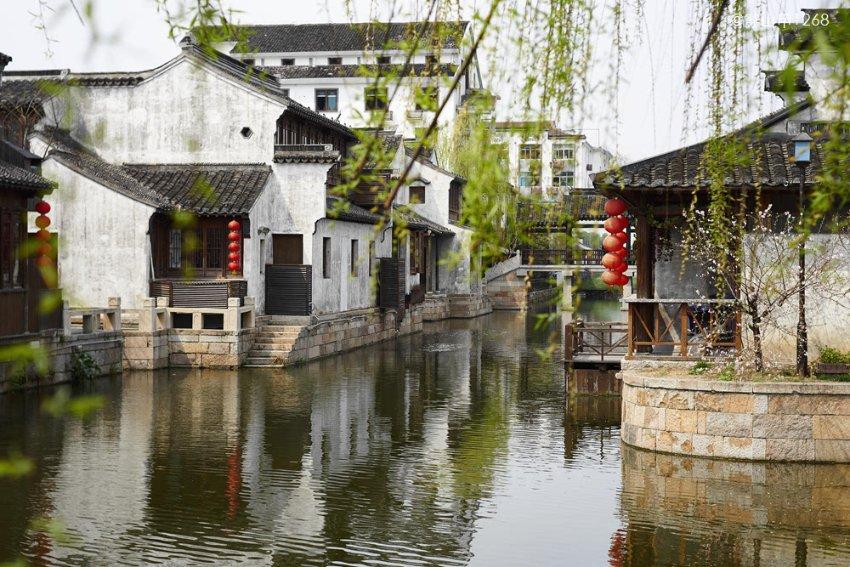 两次登上达沃斯 “中国之礼”竹叶青传递茶和天下的愿景